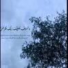 user781611861