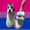 flip_flap_fl0p