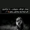kareem.mahmoud4278