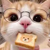 Meow TÓPTÓP