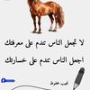 user23772212624325
