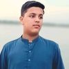 mirza.raza.ali.333