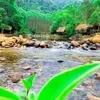 toandeptrai_102