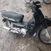 thar.thar34664
