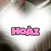 fbhohoai011