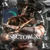 Sectorlxi