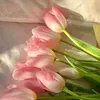 tulipmauhong24