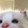 kiki_skz_