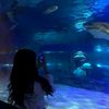 mely_3485