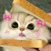 aisya2juni