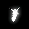 wizi_6666