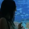 mon.myat.50000016