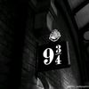 kingflado15