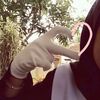 cimel531