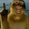 phgtapparkour