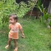 nanda.nan98
