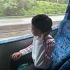 zzkecik