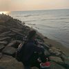 _firman____