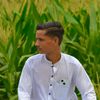 user486627506