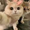 imasrohimah80