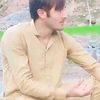 user03462017602
