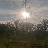 dea_annd0112