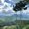 tenang