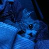 fatma_iii12