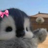 lia_sett0905_