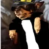 shapochkin2