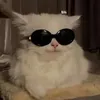 ieattoiletpaperfo