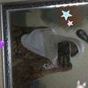 adeevapermata19