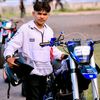 dedox28_