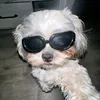 vonn.o_o
