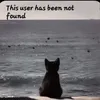 meow_bi1