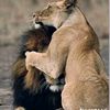 ralf74974