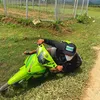 ducc.v6