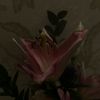 zainab.a1392