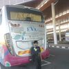 leopernandodayakborneo