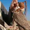الفــدائي