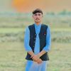 gull.rabi.wafabar