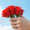 hoorain.fatima0283