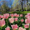 qamar__791