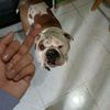 sandovaltienehambre