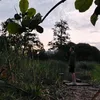 maladoi_0292