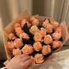 habibtimrm