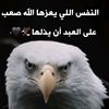 user97655031457156