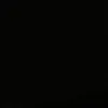 ta_seer