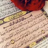 user74956607127616