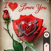 user775350105